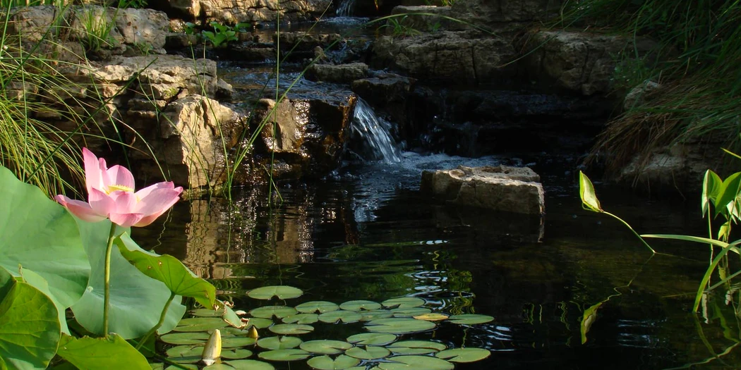 reflections water gardens